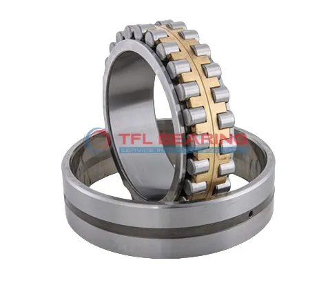 Double Row Cylindrical Roller Bearings BC2B 319961